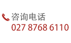 咨詢電話 027-87686110